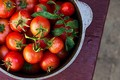 Tác hại ghê gớm của cà chua ít người biết đến